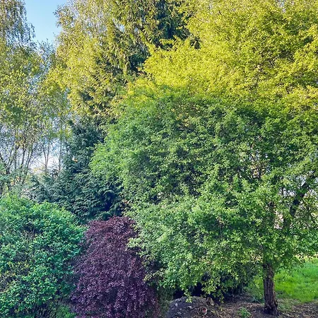 Cozy In アパート *